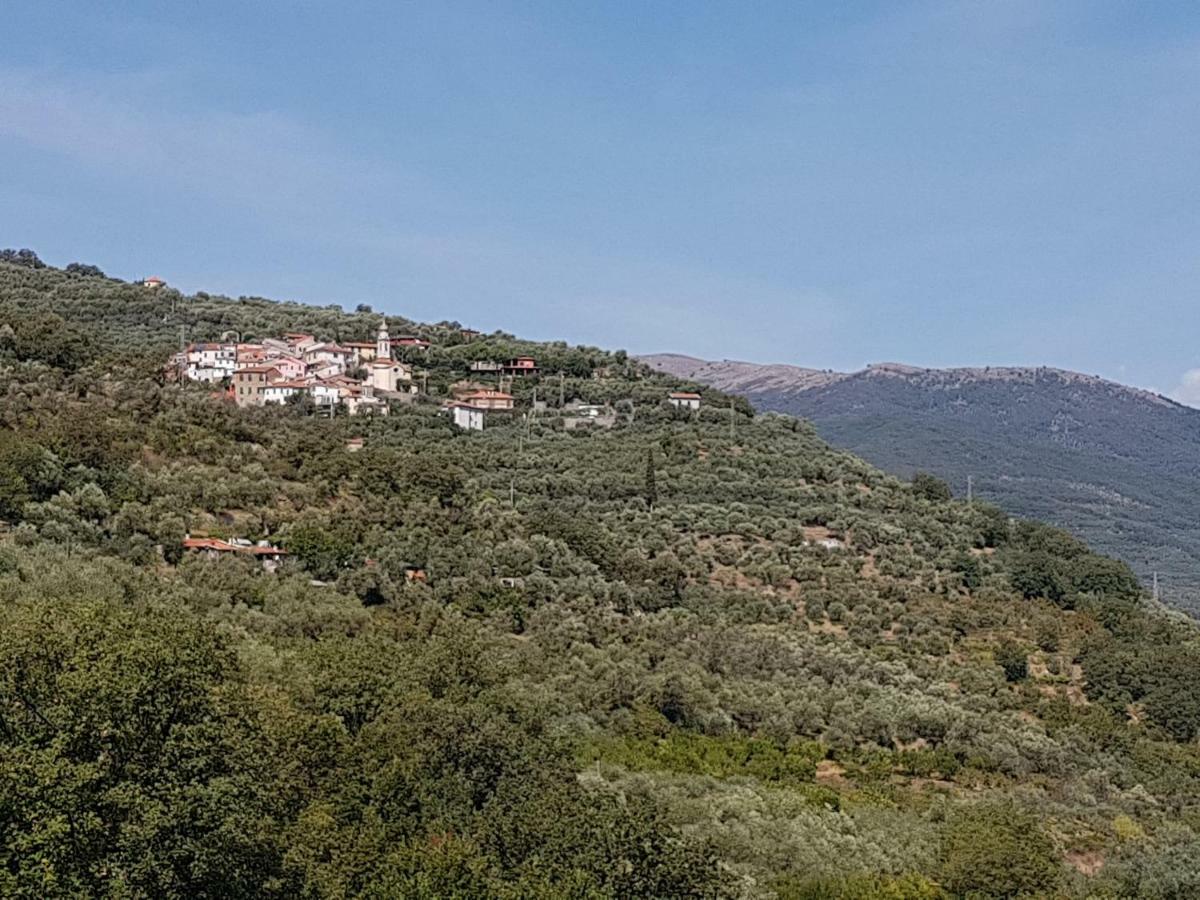 Immerso nel Verde Chiusavecchia Exterior foto